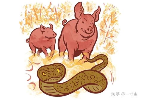 猪和蛇 城頭土性格